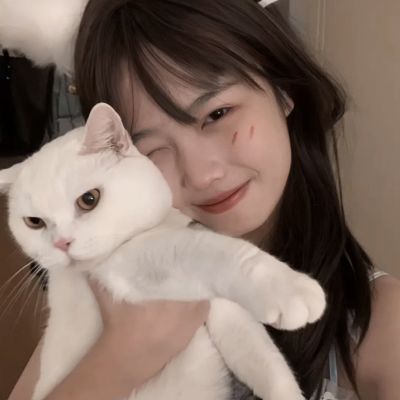 无拖链式电缆导向系统：igus研发...