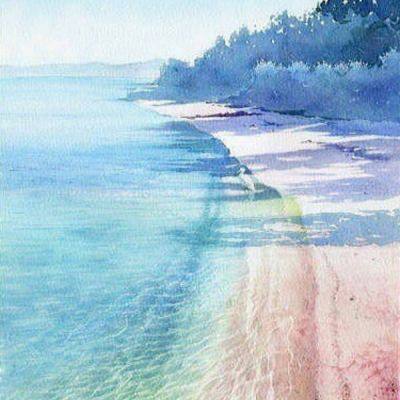 滚球的体育全站APP下载