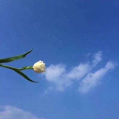 冯巩在人民日报撰文