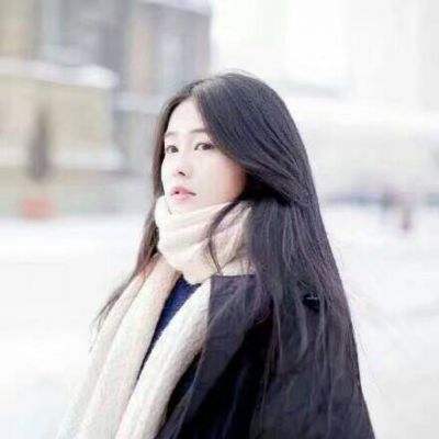 人类将率先与哪种动物“对话”？AI正加速破译跨物种“语言”