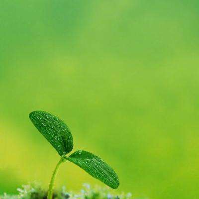 克里姆林宫：俄罗斯已就布什尔核电站问题向美国表达关切