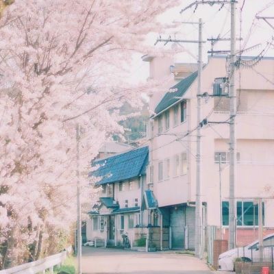 ky开云手游彩票截图0
