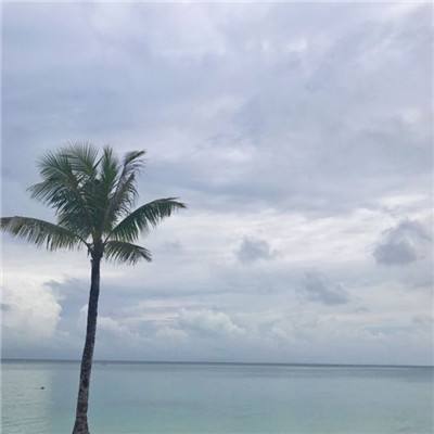 明星收入究竟有多高，明星应当如何纳税？