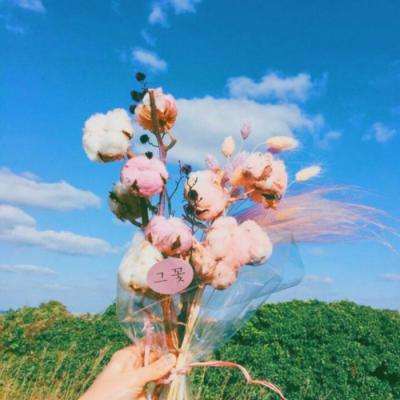 伊朗布什尔核电站周二遭到袭击