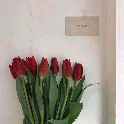 暴走无双