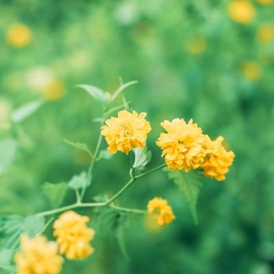 张雪峰医疗文件疑遭泄露？苏州市卫生健康委员会：已关注到此事并在处理